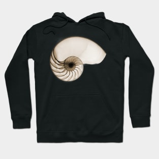 Sepia Seashell Hoodie